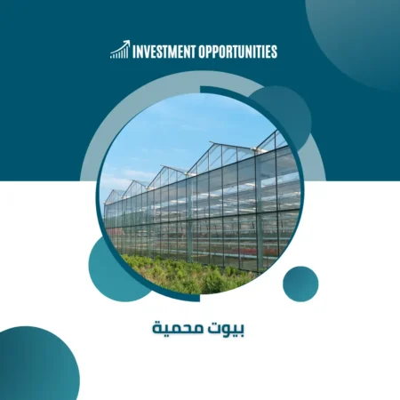 دراسة جدوى بيوت محمية