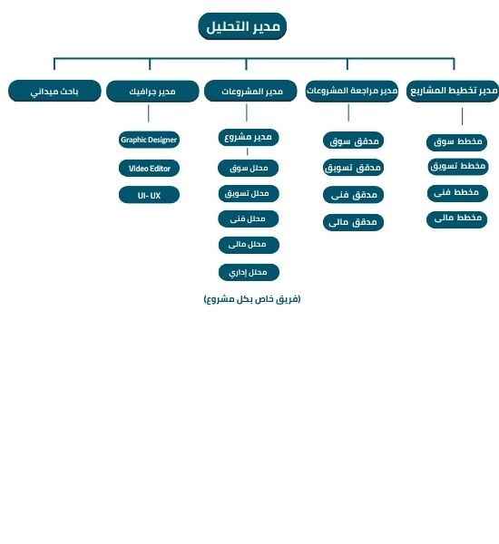 هيكل فريق العمل