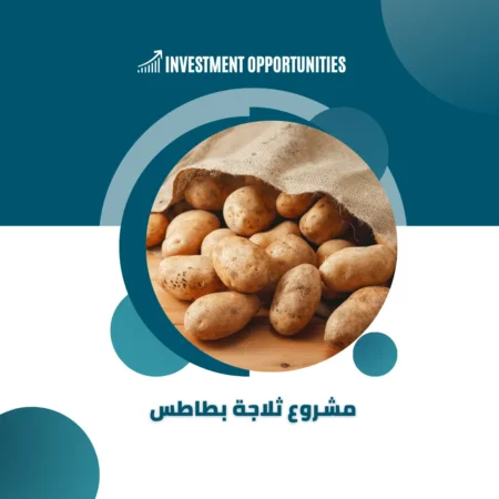 دراسة جدوى مشروع ثلاجة بطاطس
