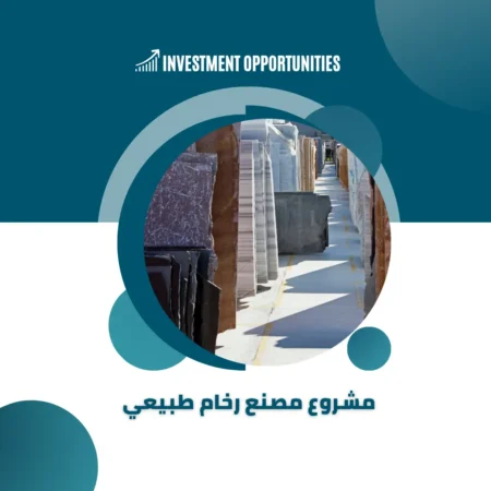 دراسة جدوى وفرص استثمارية