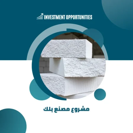 دراسة جدوى مصنع بلك pdf​